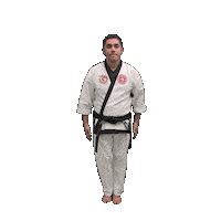 Karate Taekwondo Sticker by Team GMA