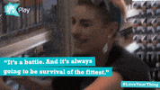 GIF by UKTV Play