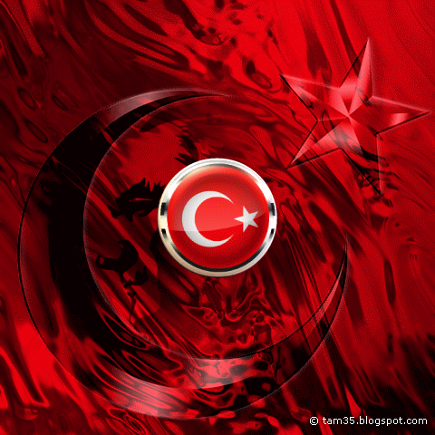 flag turk GIF
