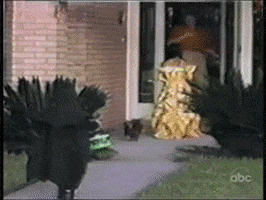 nation fail GIF by Cheezburger