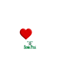 Rs Gaucho Sticker by Seiva Pura