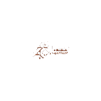 Los40Fans Sticker by Los40 International