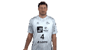 Handball-Bundesliga Handball Sticker by LIQUI MOLY HBL