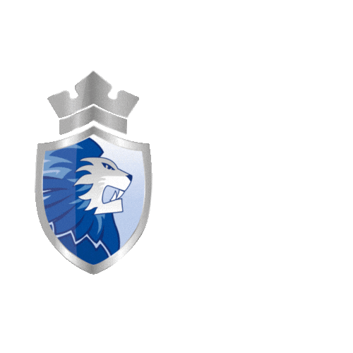 dordrechtlions icehockey puck ijshockey dordrecht Sticker