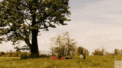 excited dirk gently GIF by BBC America
