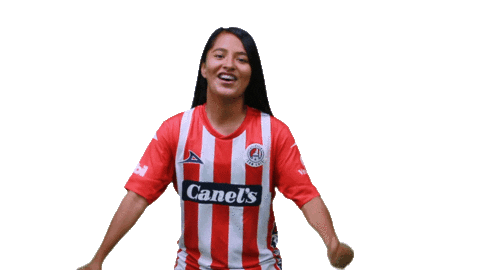 San Luis Soccer Sticker by Atlético de San Luis