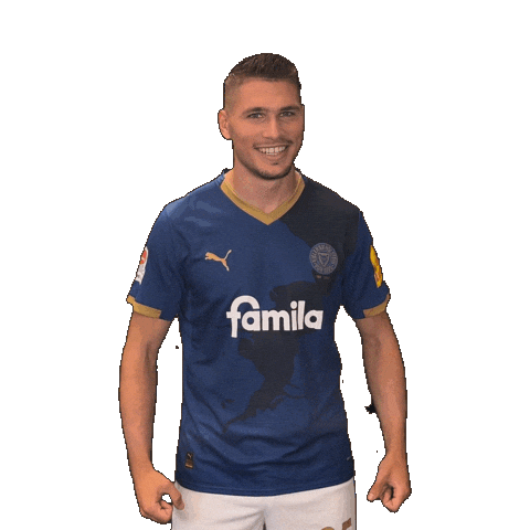 2 Bundesliga Football Sticker by Holstein Kiel