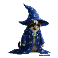 Harry Potter Cat Sticker
