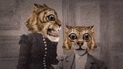 stop motion wtf GIF by Colin Raff