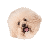 Dog Sticker by ripleyandrue