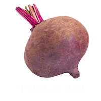 Color Kitchen Sticker by Whirlpool Corporation LATAM