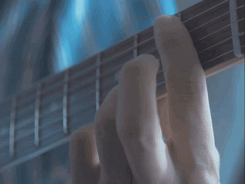 topshelfrecords giphyupload blue flower guitar GIF
