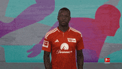 Union Berlin Football GIF by Bundesliga
