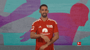 Union Berlin Football GIF by Bundesliga