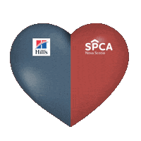 Adopt Me Best Friends Sticker by Nova Scotia SPCA