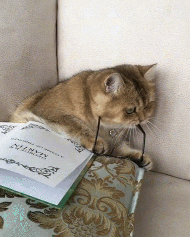chunks-em-espanhol-influx

DESCRIÇÃO DA IMAGEM: UM gato pardo está colocando óculos de aro redondo enquanto lê um livro grosso.