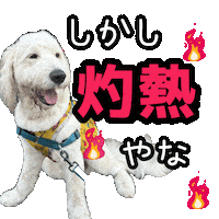 Dog 犬 Sticker
