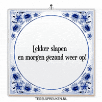 Humor Nl GIF by Tegelspreuken.nl