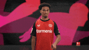 Bayer Leverkusen No GIF by Bundesliga