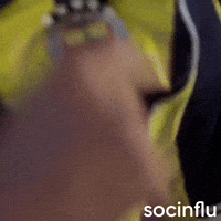 Edson Alvarez GIF by Socinflu