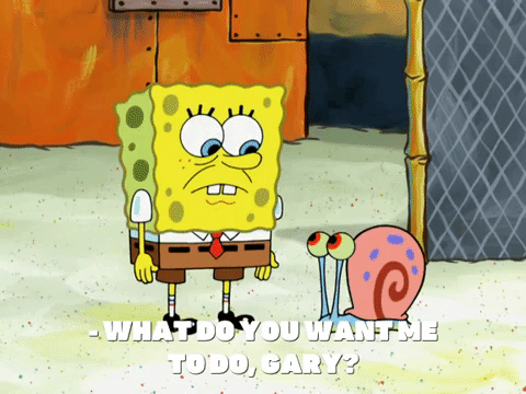 season 8 episode 22 GIF by SpongeBob SquarePants