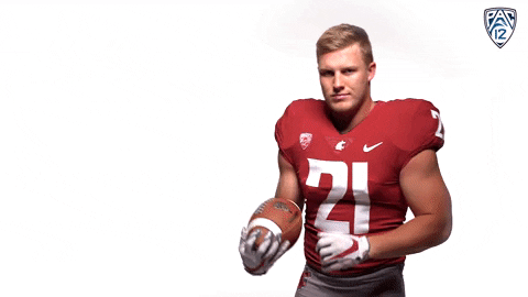WSUFootball giphyupload GIF