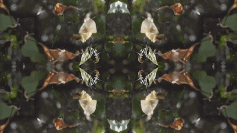 Art Love GIF by jorgemariozuleta