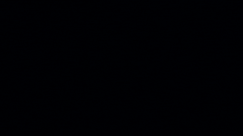 Logo Brand GIF by Stahls'