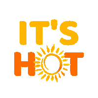Summer Sun Sticker by Crowd Multiplier