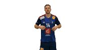 Ffhandball Kentinmahe Sticker by Fédération Française de Handball
