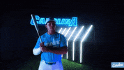 North Carolina Baseball GIF by UNC Tar Heels