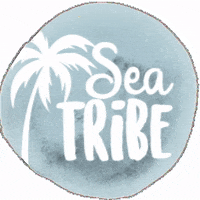 seatribee seatribe GIF