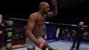 ufc 232 sport GIF by UFC