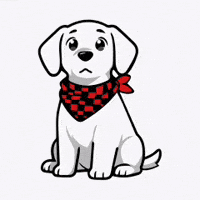 Happy Fun GIF by FlannelGo