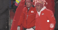 National Football League GIF by NFL