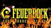 FEUERBOCK party weihnachten feuer sauerland GIF