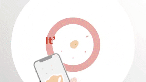 TELLTINA giphygifmaker united states locations east coast GIF