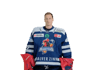 Swipe Up Ice Hockey Sticker by Iserlohn Roosters