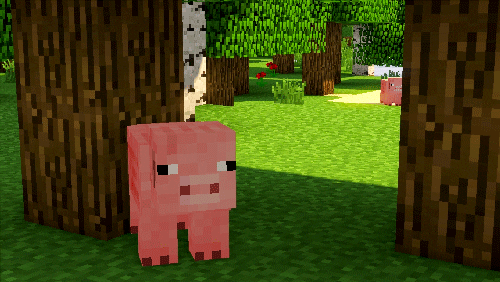 forest pig GIF
