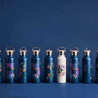 michellejarniphotographyvideo  GIF