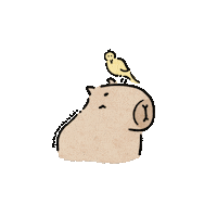 Mimimomo_draw cartoon illustration animal bird Sticker