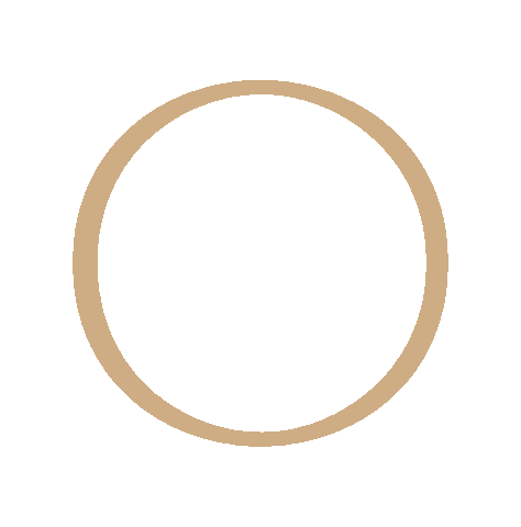 Gold Circle Sticker by Unerwartet Design