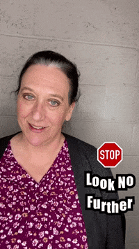 pawsaroundmotown stop pam paws around motown look no further GIF