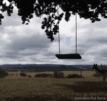 Swing Deer GIF by Wondeerful farm