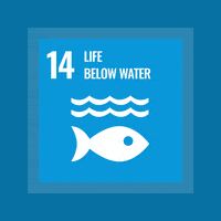 Act4Sdgs GIF by MY World Mexico