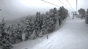 mthigh  GIF