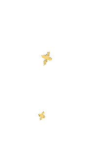 Yellow Star Sticker by Jordan Kay