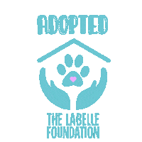 Sticker by LabelleFoundation
