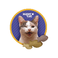 supercat_peru happy wink feliz gato Sticker