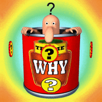 Confused Tell Me Why GIF